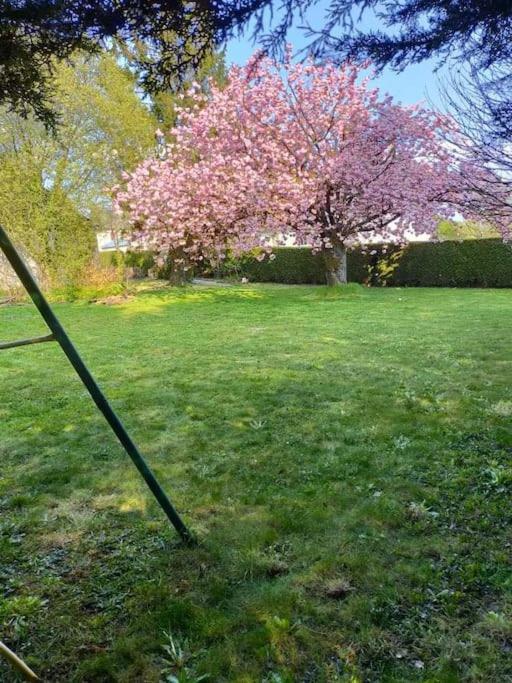Maison Chaleureuse Avec Insert En Campagne Villa Saint-Mars-sur-la-Futaie Dış mekan fotoğraf