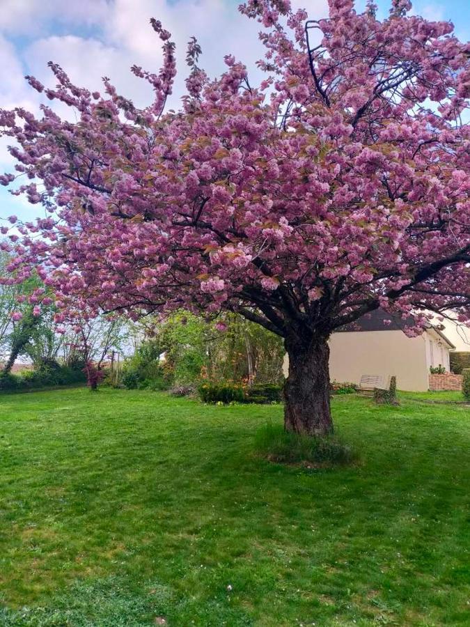 Maison Chaleureuse Avec Insert En Campagne Villa Saint-Mars-sur-la-Futaie Dış mekan fotoğraf